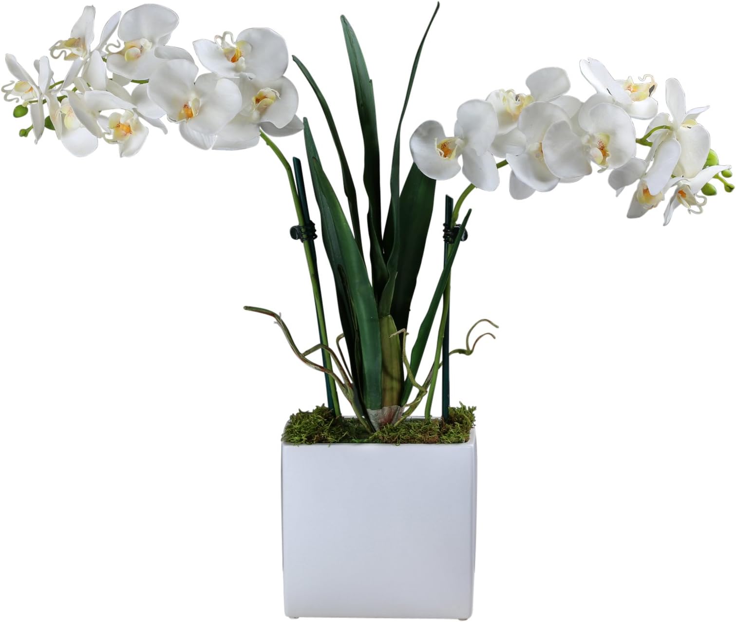 SilkenBloom Artificial White Silk Orchid Arrangement in Tall Rectangular White Modern Vase