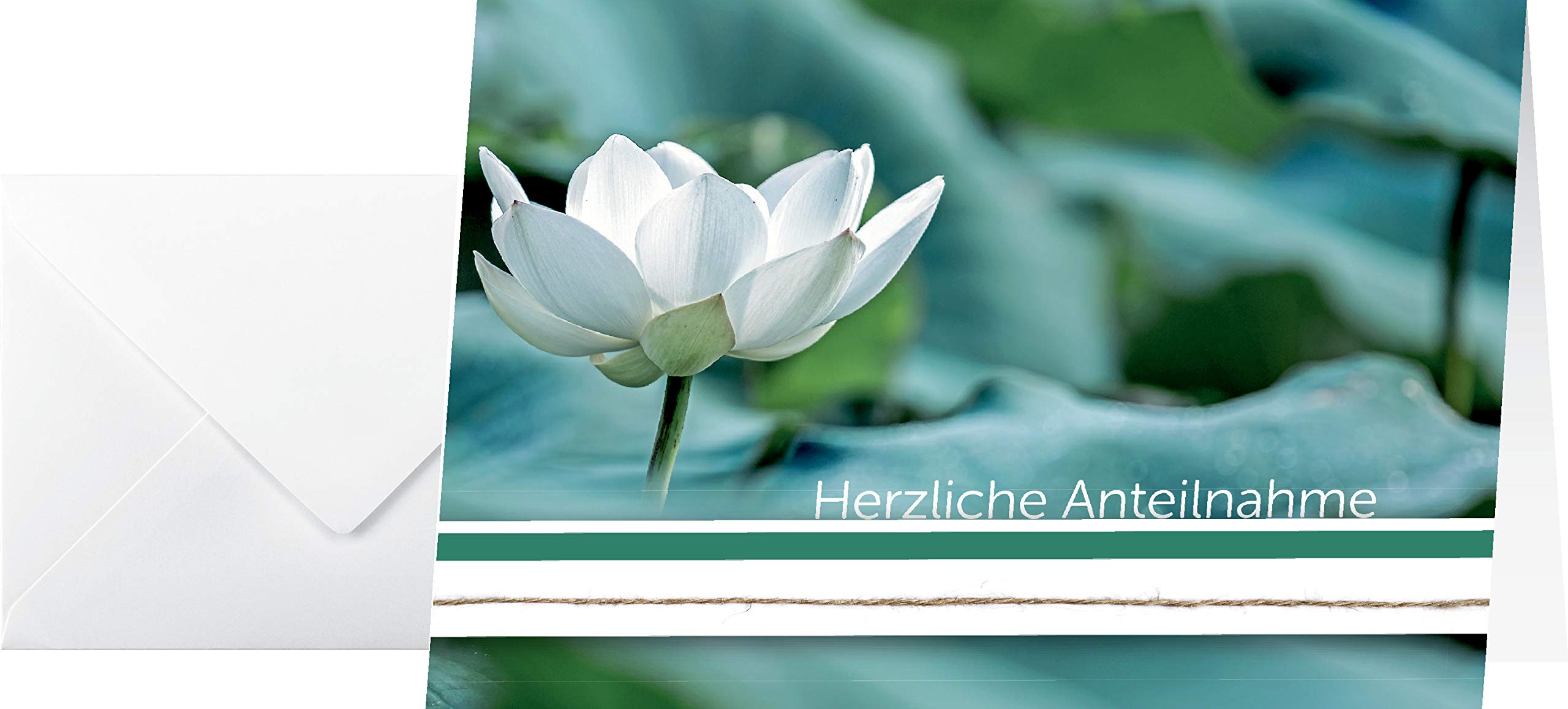 SIGEL DS103 Sympathy Cards A6 Landscape Set of 10 with Envelope Ideal for Printing