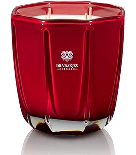 Amazon.com: Dr. Vranjes - Lighter + Decorative Scented Candle