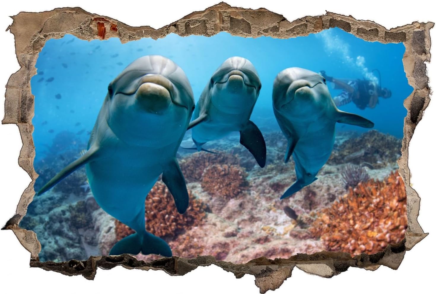 Tanlaby Unter Dem Meer Wandsticker - Delfine & Schildkröten | 8 Bögen 29x24cm | Selbstklebend & Abnehmbar