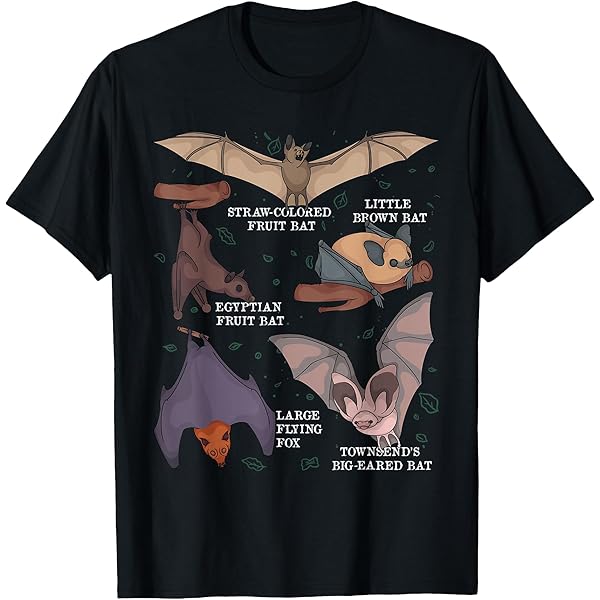 Amazon.com: Bats of The World Funny Bat Lover Biology Science