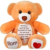 Liliful Sympathy Bears for Boys and Girls Loss of Mom, Memorial Stuffed Animal for Loss of Mom Boys and Girls Sympathy Gift for Grieving Bear Plush Toy for Condolences Memorial Loss of Loved