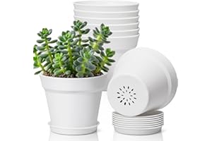 T4U 4 Inch Plant Pots 8 Pack, Plastic Planters with Drainage and Saucers for Gardening Enthusiasts, Flower Pots Indoor for Su