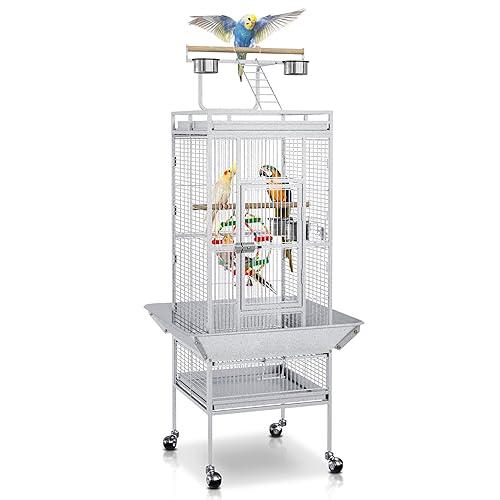View of Parrot Toys | Chewy