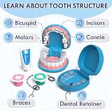 Lehoo Castle Dentist Doctor Kit for Kids Blue 3+ Educational Toy view 3