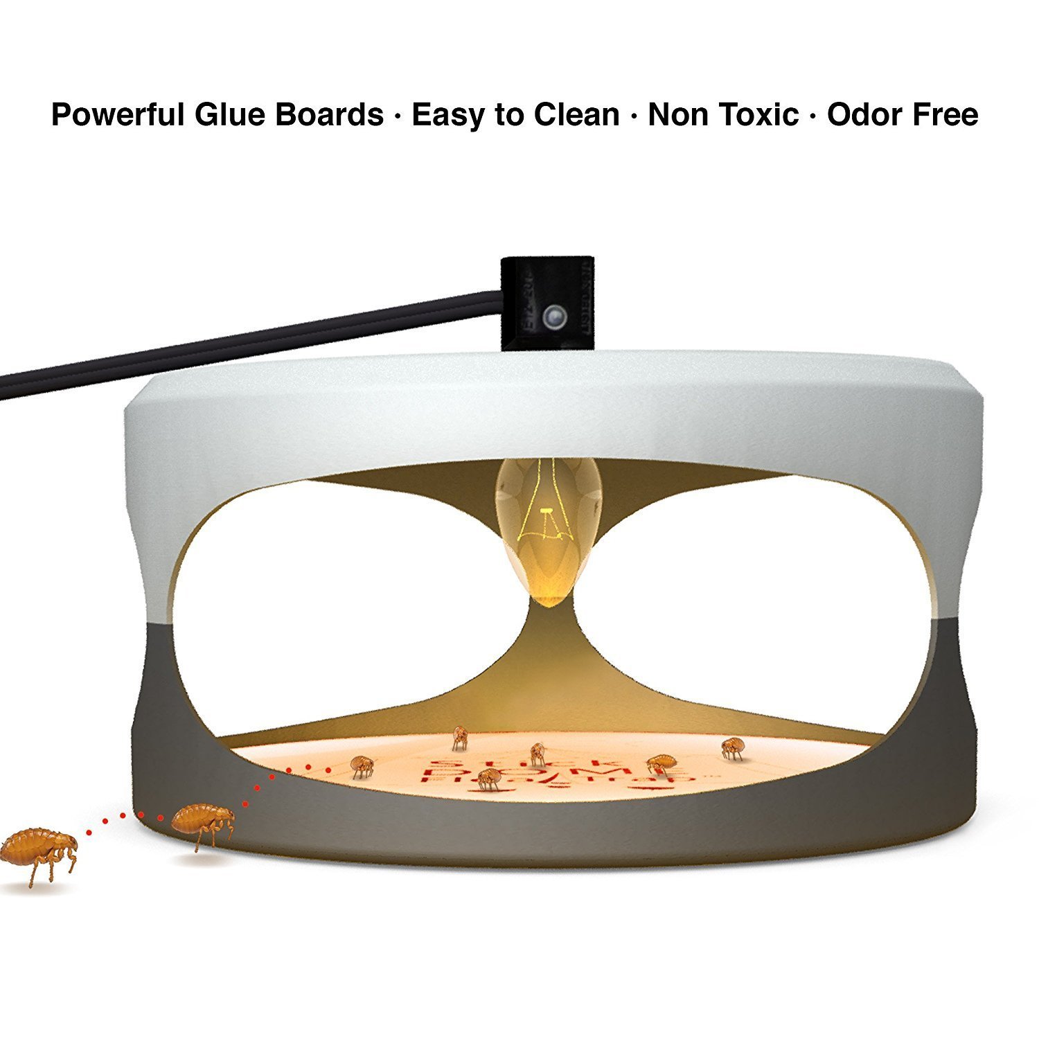 Hoont Indoor Plug-in Electric Sticky Flea Trap with Light and Heat Attracter (Includes 5-Adhesive Glue-Boards) / Eliminates Fleas, Bed Bugs, Flies, Etc. - For Residential and Commercial Use [UPGRADED]