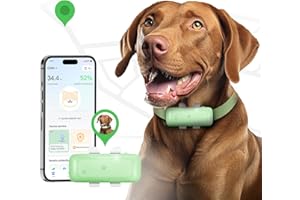 SEEWORLD P1 GPS Dog Cat(6.5 lbs+) Tracker - Pet GPS Location Tracker for Anti Lost No Distance Limited, Waterproof, Real Time Tracking & Smart Activity, Fit All Pet Collars, Green
