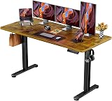 ErGear Electric Standing Desk 160x80cm 4 Memory Presets Sit Stand