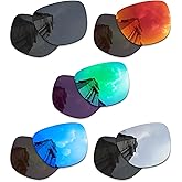 Betterun 5 Pairs Polarized Replacement Lens for Ray-Ban Meta Wayfarer RW4008 53mm Smart Sunglasses, Anti-Scratch and Impact Resistant