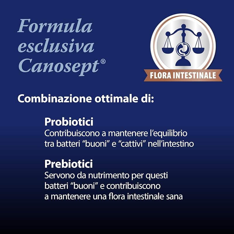 flora intestinale cane - probiotici per cani e prebiotici - enzimi digestivi - supporta i disturbi digestivi - rafforza la flora intestinale - probiotico digestivo per cani - 30 compresse