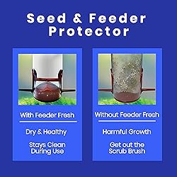 Sapphire Labs Feeder Fresh Bird Feeder and Seed