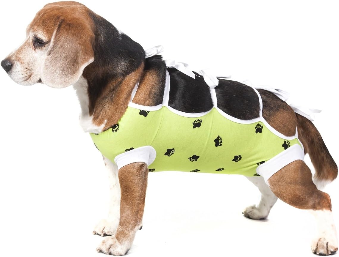 elizabethan collar alternative