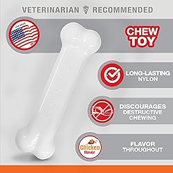 Nylabone Power Chew Flavored Durable Chew Toy for