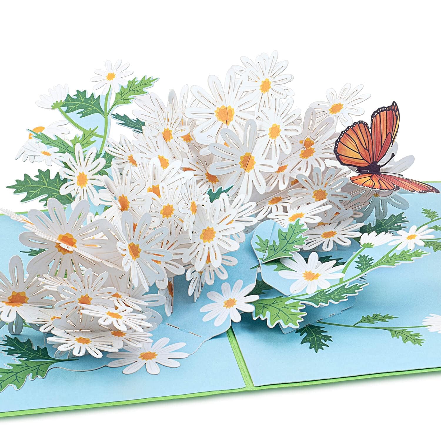 papercrush® Flowers Pop-Up Card Daisies with Butterfly - 3D Flower Card for Her (Happy Birthday, Thank You, Good Luck), Money Gift & Voucher for Gardeners (Wife, Mom, Auntie) - Get Well Soon Billet