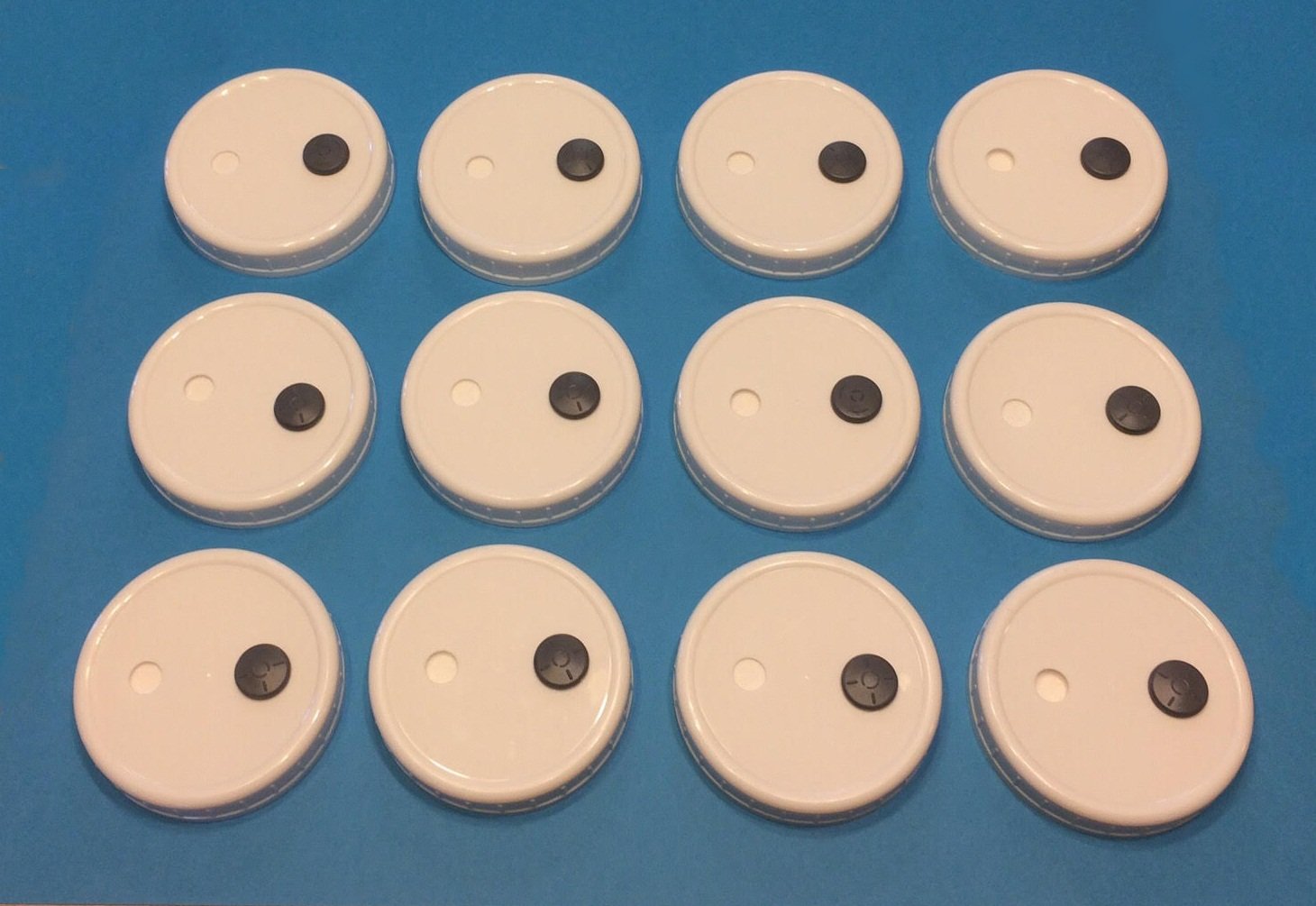 Industrial & Scientific 12 Grain Spawn Master Plastic Mason Jar Lids