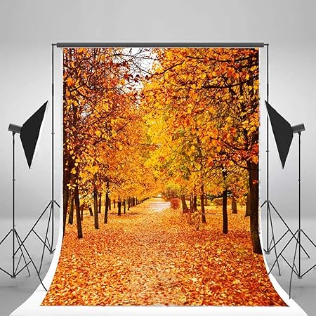 Amazon Laeacco 秋の風景 3x5フィート ビニール 写真 背景 木と紅葉の景色 1x1 5m 背景 スタジオ小道具 Laeacco バックペーパー 背景布