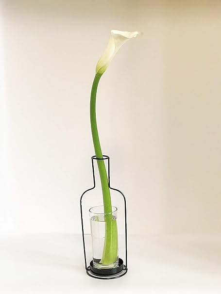 Amazon Co Jp Srrabbit 北欧風 アイアン製 フレーム 花瓶 一輪挿し テクニック要らずで素敵に グラス フェイクグリーン付 びん型 ホーム キッチン