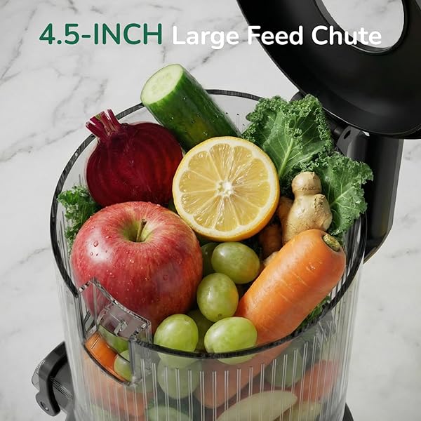 CANOLY COLD PRESS JUICER, 4.5″ WIDE FEED CHUTE JUICER MACHINE