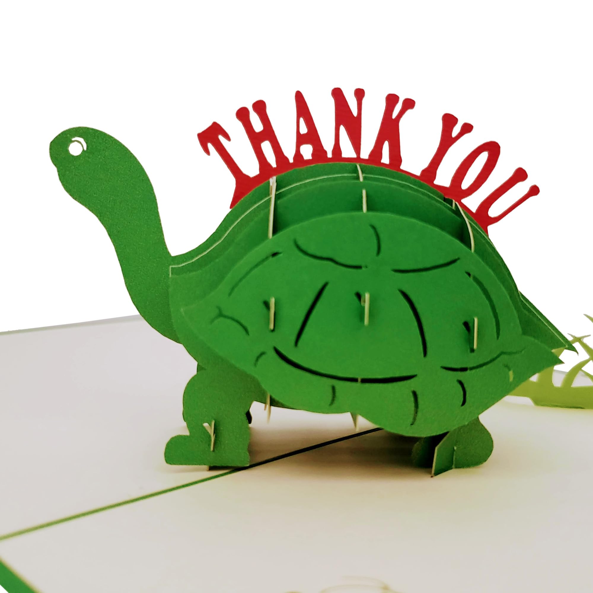 iGifts And Cards Cute Turtle Thank You 3D Pop Up Greeting Card - Funny Animals, Turquoise, Blank, Cool, Fun, Half-Fold, Thank You, Gratitude, Appreciation, Friendship, Best Friend, Belated, Kids, Grad