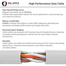 Big-A - 1000ft Cat5e Plenum Ethernet