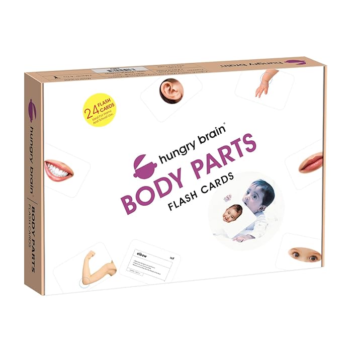 Buy hungry brain Early Learning Toddler Flash Cards Body Parts
