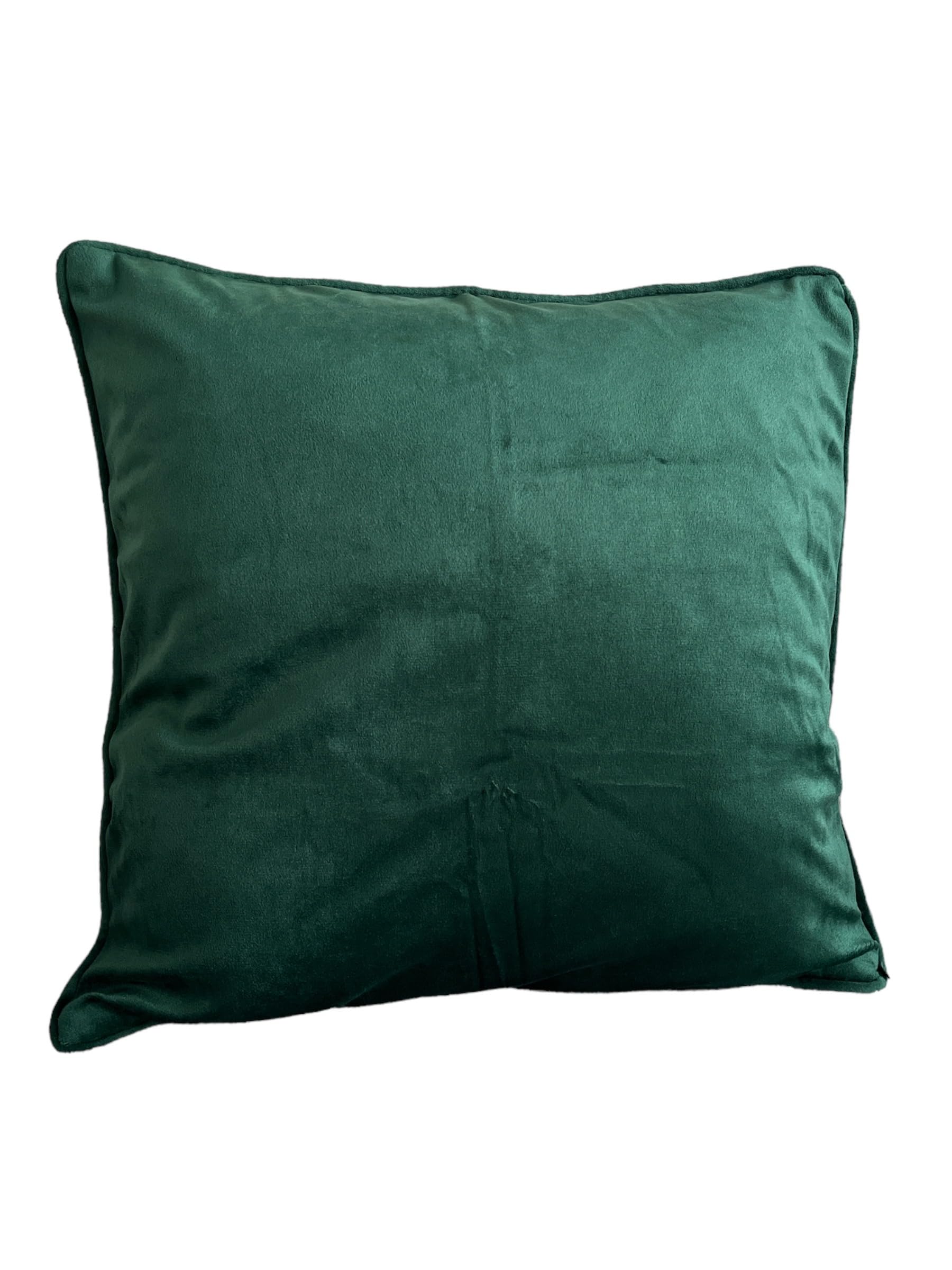 NovatoStar Plain Velvet Cushion Cover for sofa couch chairs Pack of Two (Bottle Green, 22x22)