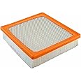 FRAM Extra Guard CA10755 Replacement Engine Air Filter for Select Lexus, Toyota, Jeep and Dodge Models, Provides Up to 12 Mon