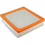 FRAM Extra Guard CA10755 Replacement Engine Air Filter for Select Lexus, Toyota, Jeep and Dodge Models, Provides Up to 12 Mon