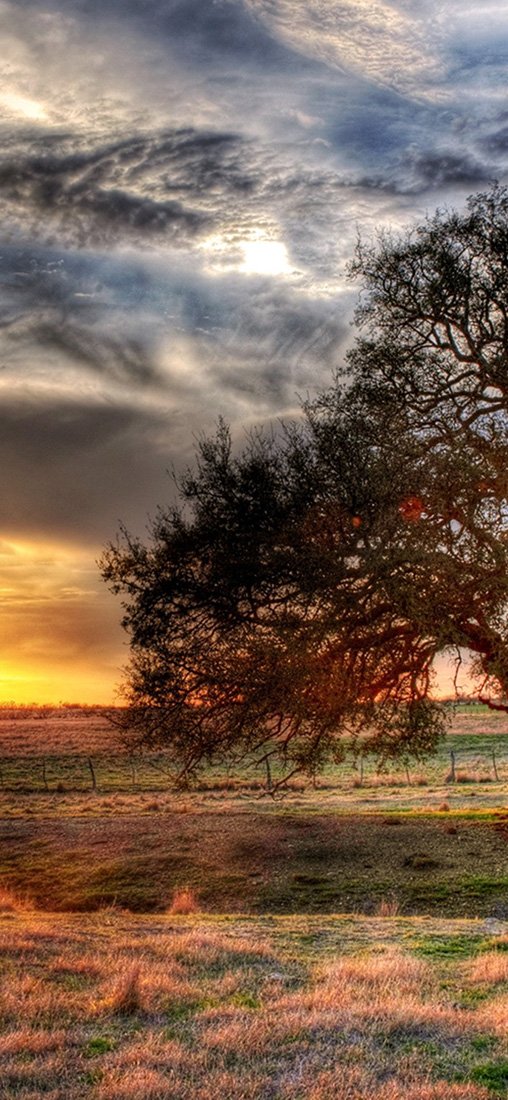 PeelitStickit, Beautiful Nature Wall Murals, ID-1115, vinyl