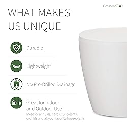 Crescent Too Eva Decorative Planter Modern