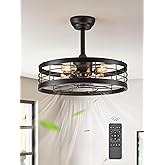 LEDIARY 20 inch Fandelier Caged Ceiling Fan with Light, Bladeless Ceiling Fan with Remote, Farmhouse Fan Lights Ceiling Fixtures for Kitchen, Bedroom, Outdoor(6 Speed, Timing)-Black