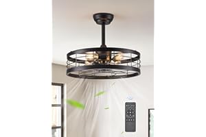 LEDIARY 20 inch Fandelier Caged Ceiling Fan with Light, Bladeless Ceiling Fan with Remote, Farmhouse Fan Lights Ceiling Fixtures for Kitchen, Bedroom, Outdoor(6 Speed, Timing)-Black