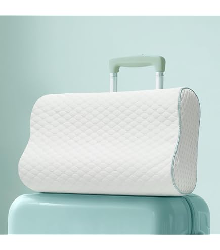 Oreiller De Voyage En Mousse Mémoire - Coussin Ergonomique Pour Nuque Et Dos | Idéal Camping, Voiture, Avion, Bureau (Blanc)