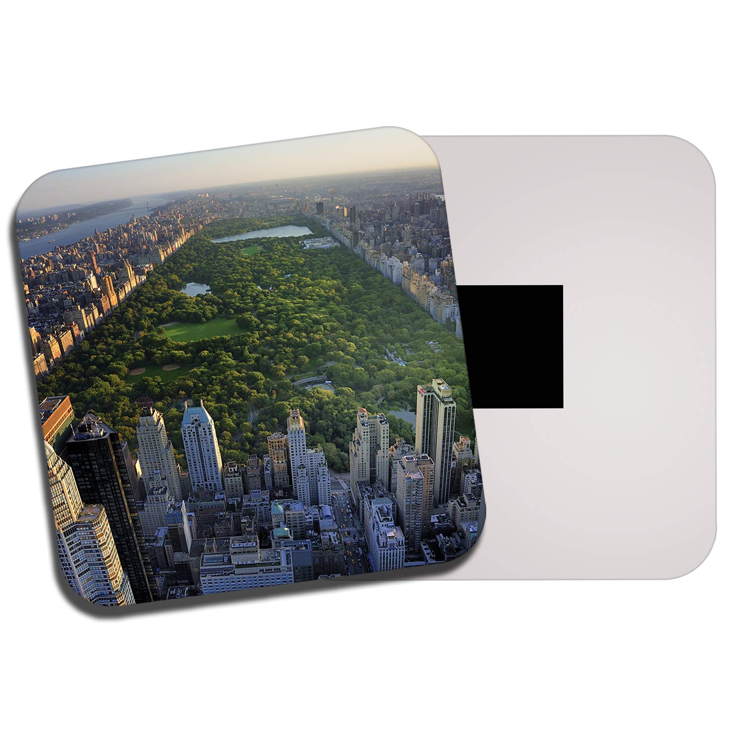 Best Central Park New York City Refrigerator Magnet