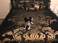 Review Image by Precious