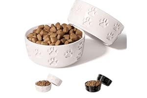 HB DESIGN CO. Ceramic Dog Bowl Set of 2 with Anti-Skid Base - 5" Wide x 2" Tall Ceramic Dog Bowls for Small Dogs - 2 Cup Capacity Food and Water Bowls for Dogs - Rubber Bottom Pet Bowl Set of 2 for Small Pets