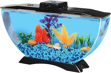 cat proof betta tank