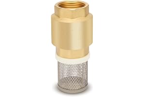 SYWUWV Foot Valve with Filter 3/4" NPT, Brass Bottom Valve, Non Return Spring Vertical Check Valve to Filter Impurities, Prevent Backflow of Media for Water Pump, Irrigation, Industrial Piping System DN20