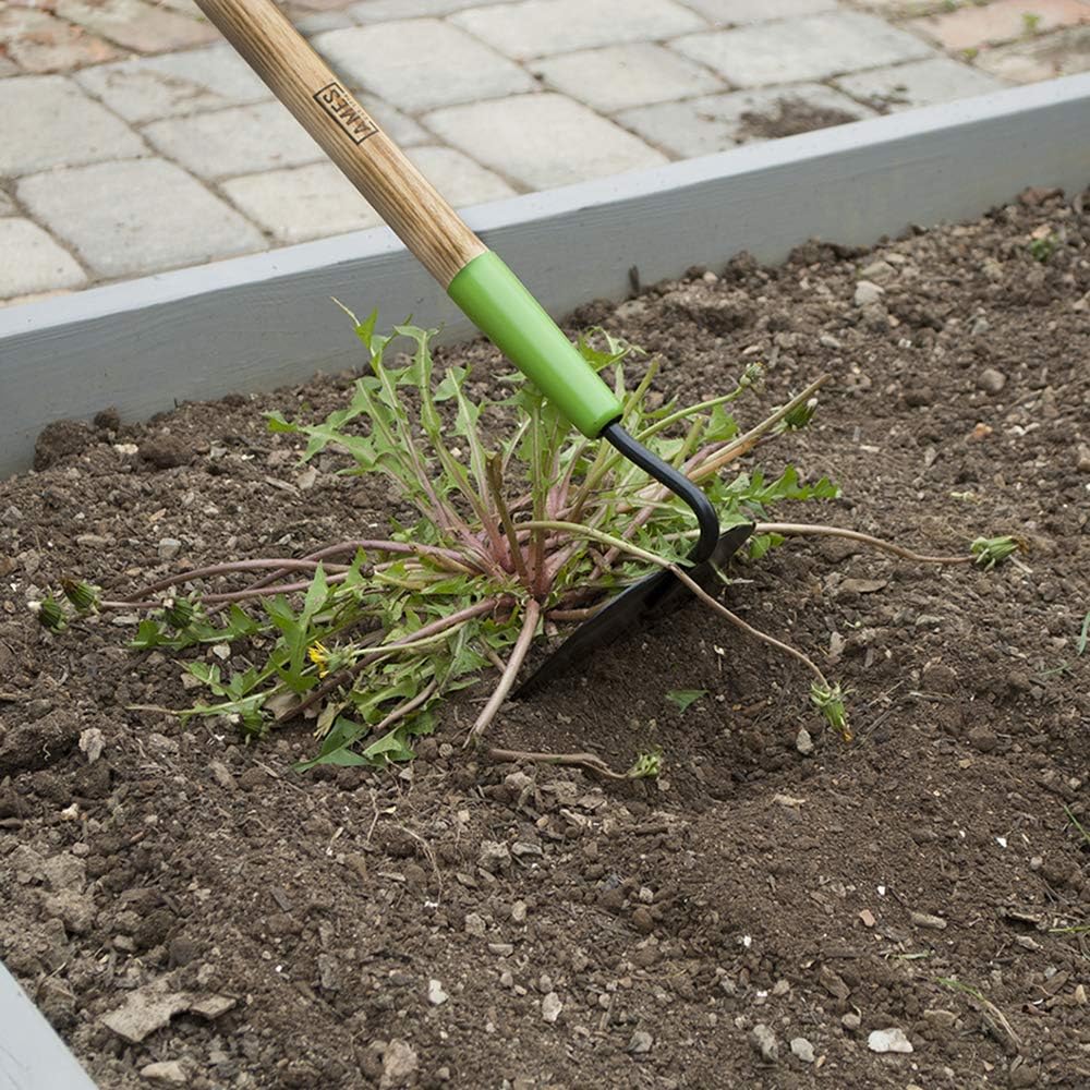 AMES 2825700 Welded Garden Hoe : Garden & Outdoor