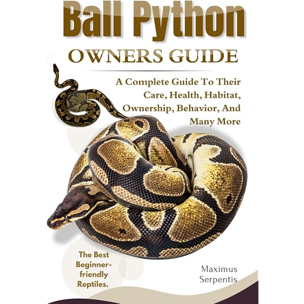 Ball Pythons as Pets - Your Complete Owners Guide: Ball Python