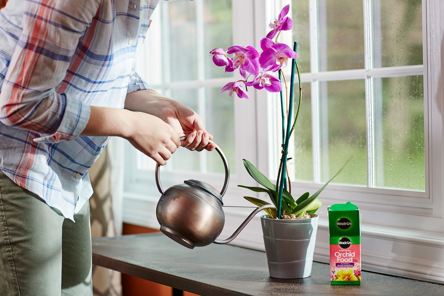 Miracle-Gro Water Soluble Orchid Food, 8 oz. : Fertilizers : Garden & Outdoor