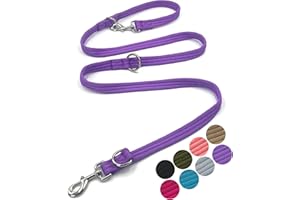 MOTAITY Dog Leash-Multifunctional Double Ended,for Obedience Training Or Distance Work Easy to Use,Lightweight,Soft&Durable Convertible Hands Free,Crossbody,Over Shoulder (Purple, 2M*2.5CM)