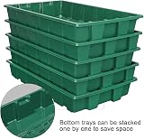 MIXC Seed Trays Propagator 200 Cell Kit with Lids 5 Pack Garden Grow Tray view 4