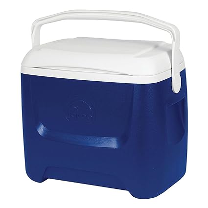 IGLOO 44558 portátil Mini Nevera, Azul, 46x28x40: Amazon.es: Coche ...