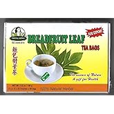 Thong Hong Breadfruit Leaf Tea, Tra La Sake, Natural Herbal Tea Bags, 50 Bags, 3.5 oz