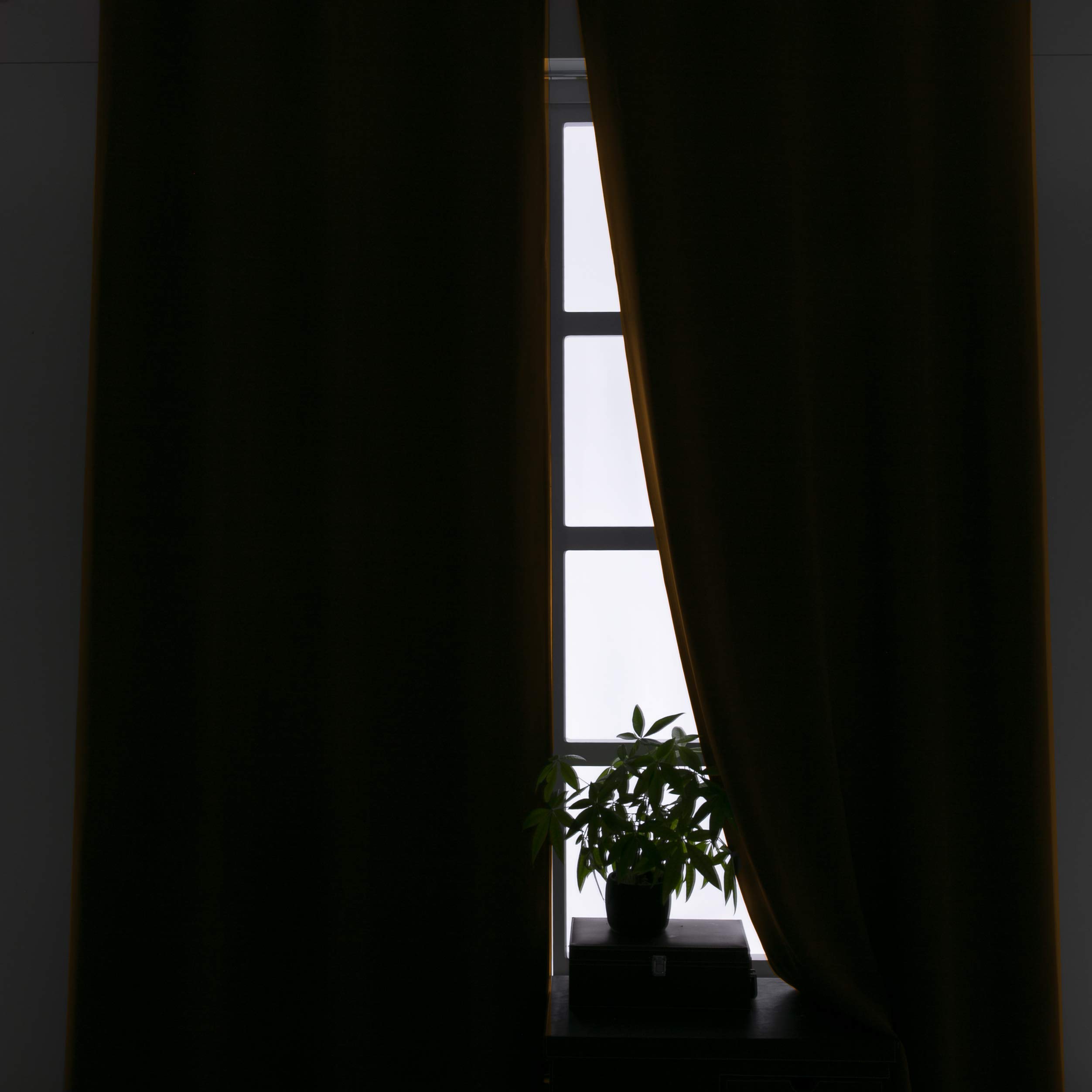 Product Photo 5