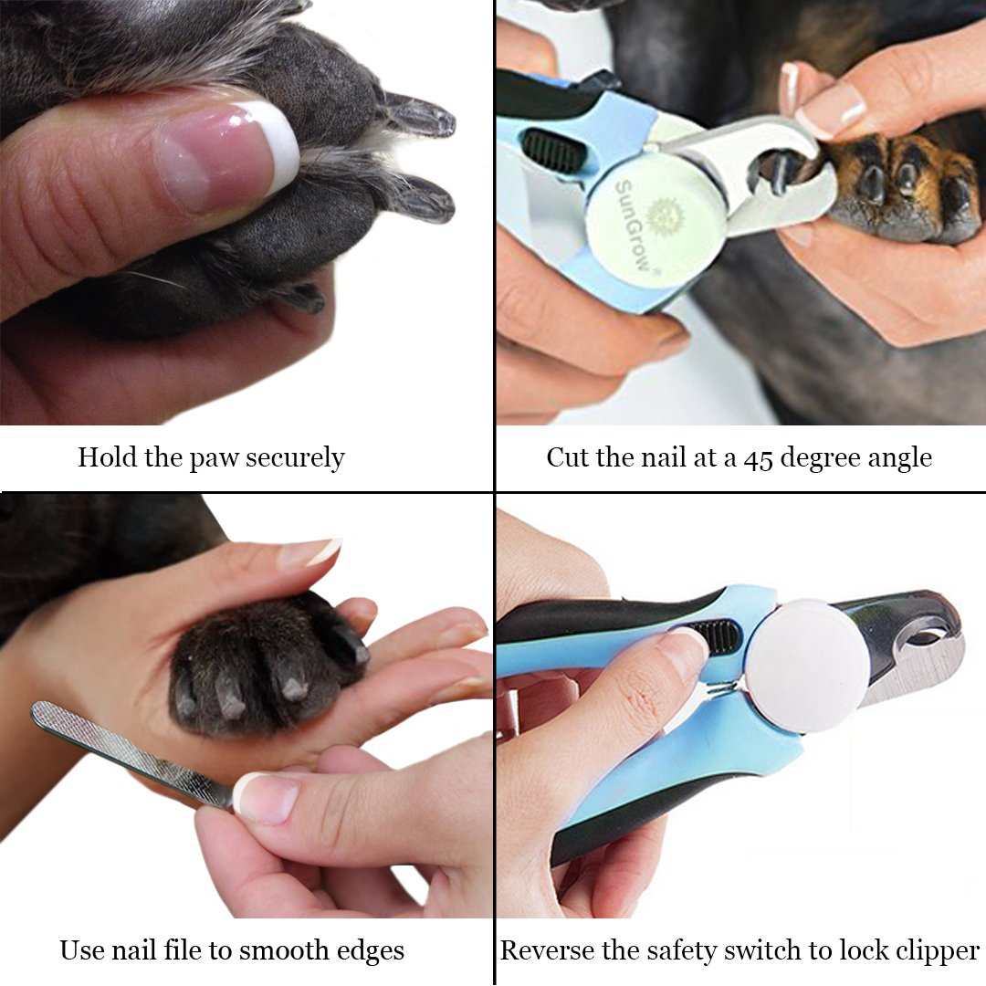 No pain Dog Nail Clipper & Trimmer -- Safety Switch to prevent over cut - 5-minutes to professional grooming - Safety Switch lock - In-built nail file to smooth edge - Razor sharp blade for clean cut