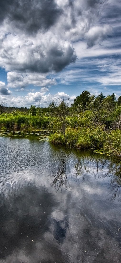 PeelitStickit, Beautiful Nature Wall Murals, ID-1972, vinyl