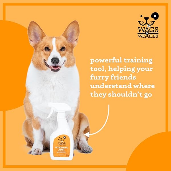 WAGS & WIGGLES NO MARKING DETERRENT TRAINING SPRAY FOR DOGS – INDOOR DOG PEE REPELLENT & BEHAVIOR AID, ANTI PEE & URINE DETERRENT, NO MORE MARKING, IDEAL FOR POTTY TRAINING, 16 FL OZ