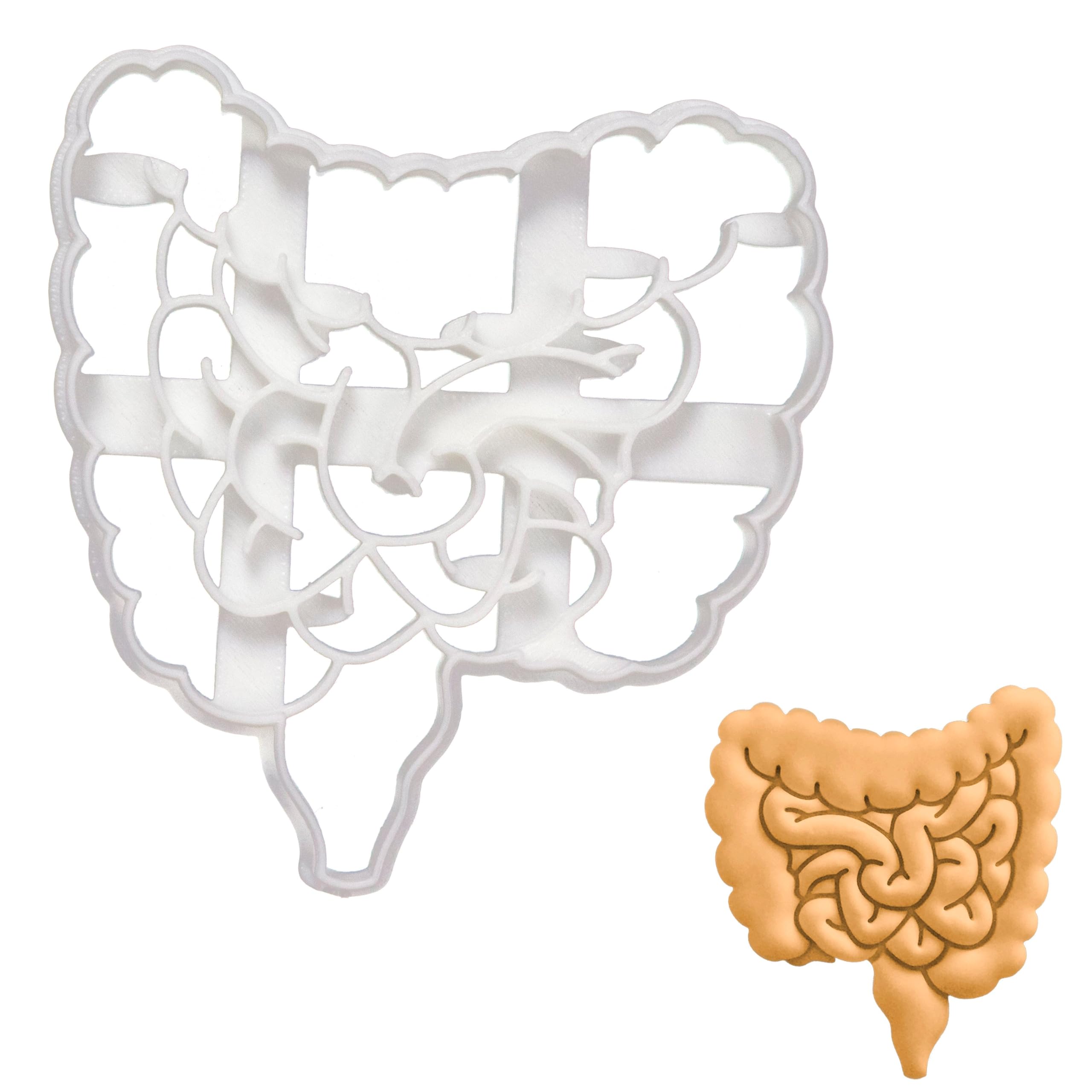 BAKERLOGY Intestines Cookie Cutter - Detailed Biscuit Cutter Design for Baking and Crafts, Ideal on Fondant, Dough, Clay